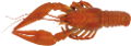 homar_18