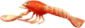 homar_38