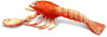 homar_39