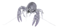 homar_4
