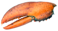 homar_5