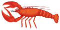 homar_7