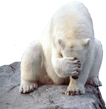 jegesmedve_200.png