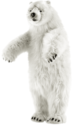 jegesmedve_44.png