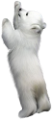 jegesmedve_118