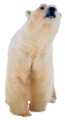 jegesmedve_128