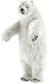 jegesmedve_44