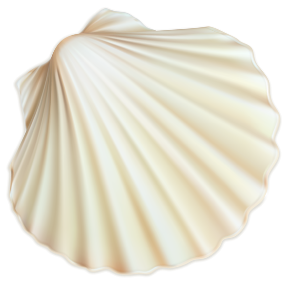 kagylo_1.png