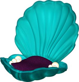 kagylo_29.png