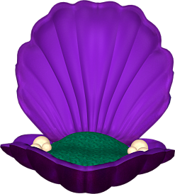 kagylo_30.png