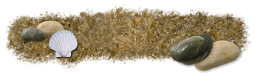 kagylo_42.png
