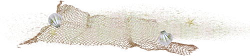 kagylo_48.png