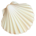 kagylo_1