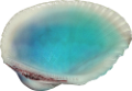 kagylo_60
