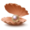 kagylo_71
