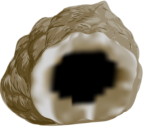 korall_18.png