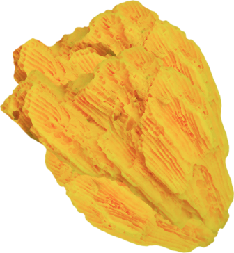 korall_4.png