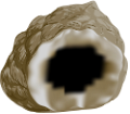 korall_18