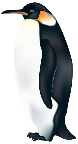 pingvin_11.png