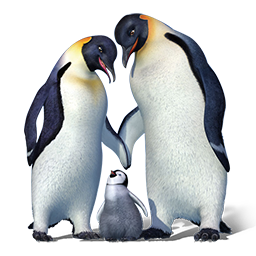 pingvin_12.png