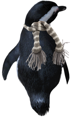 pingvin_18.png