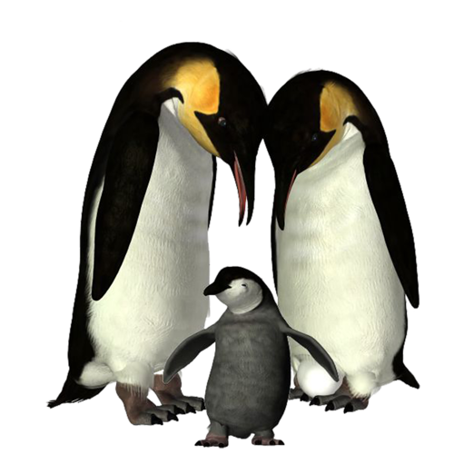 pingvin_20.png
