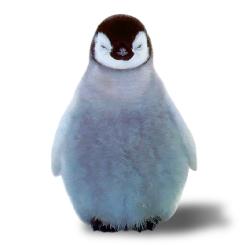 pingvin_21.png