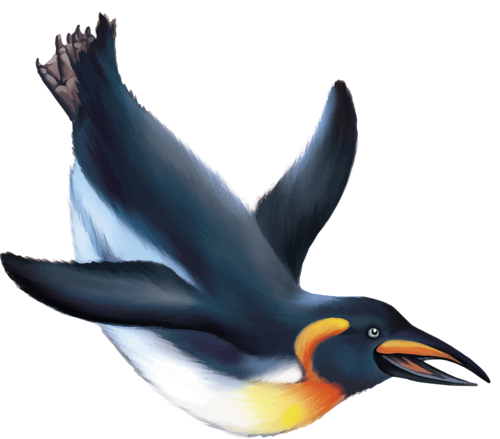 pingvin_23.png
