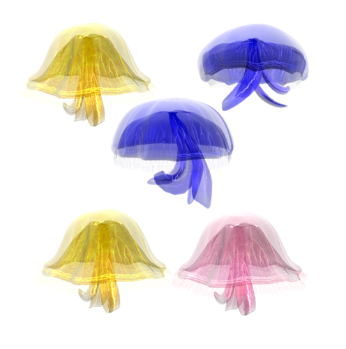 polip_12.png