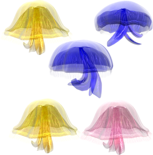 polip_19.png