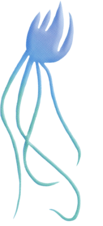 polip_2.png