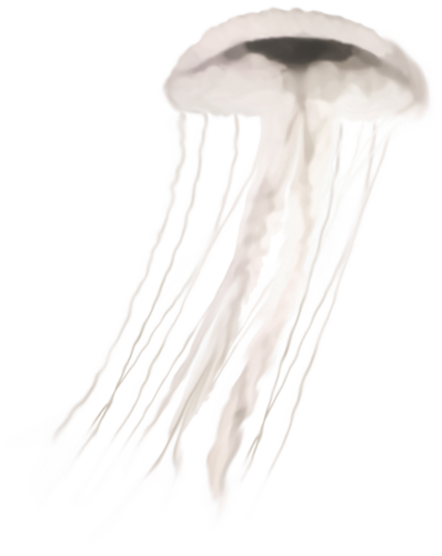 polip_25.png