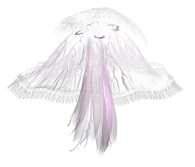 polip_26.png