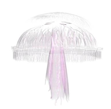 polip_28.png