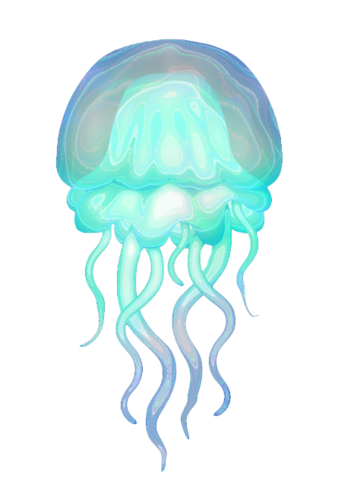 polip_29.png