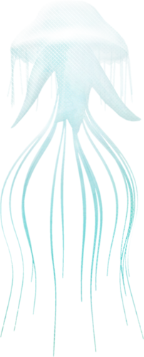 polip_33.png
