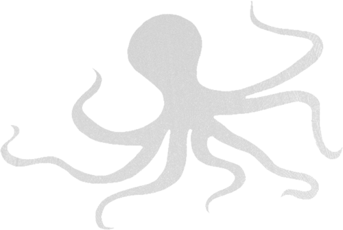 polip_43.png