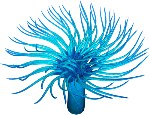 polip_48.png