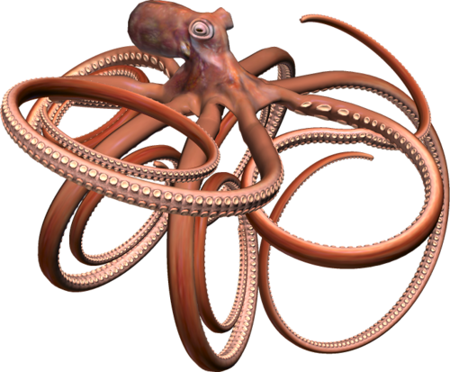 polip_50.png