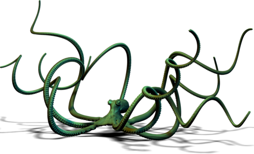 polip_55.png