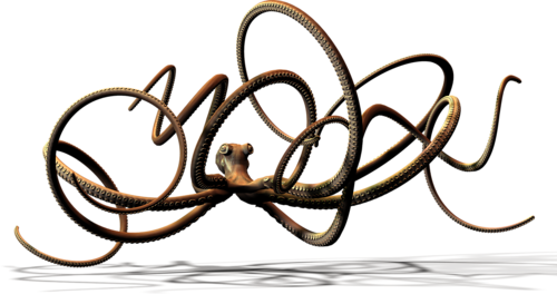 polip_57.png