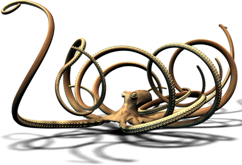 polip_58.png