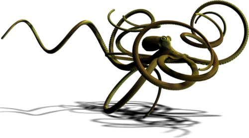 polip_59.png