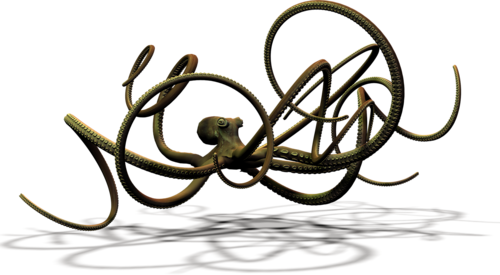 polip_60.png