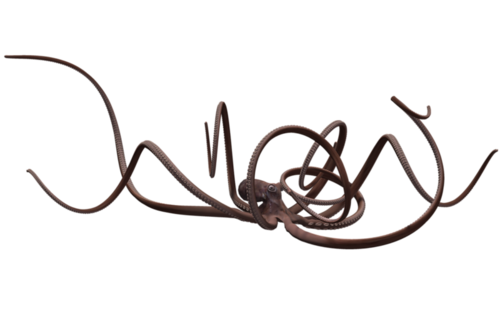 polip_64.png