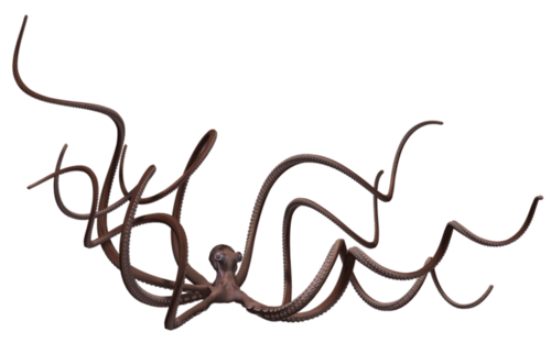polip_72.png