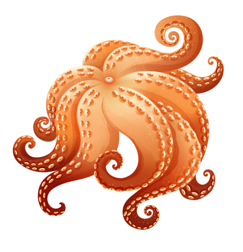 polip_86.png