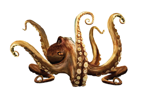 polip_9.png