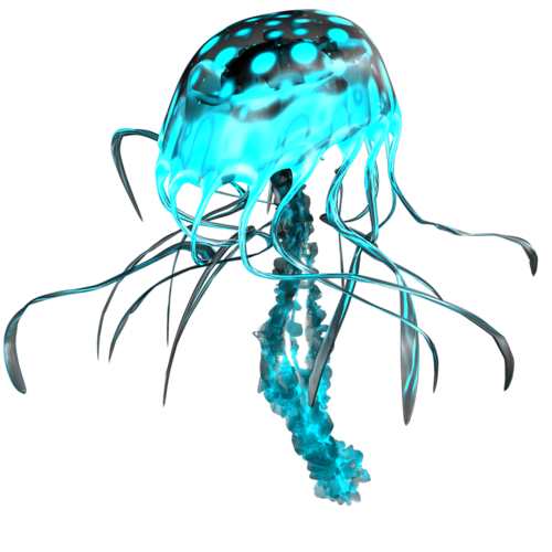 polip_97.png