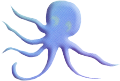 polip_1